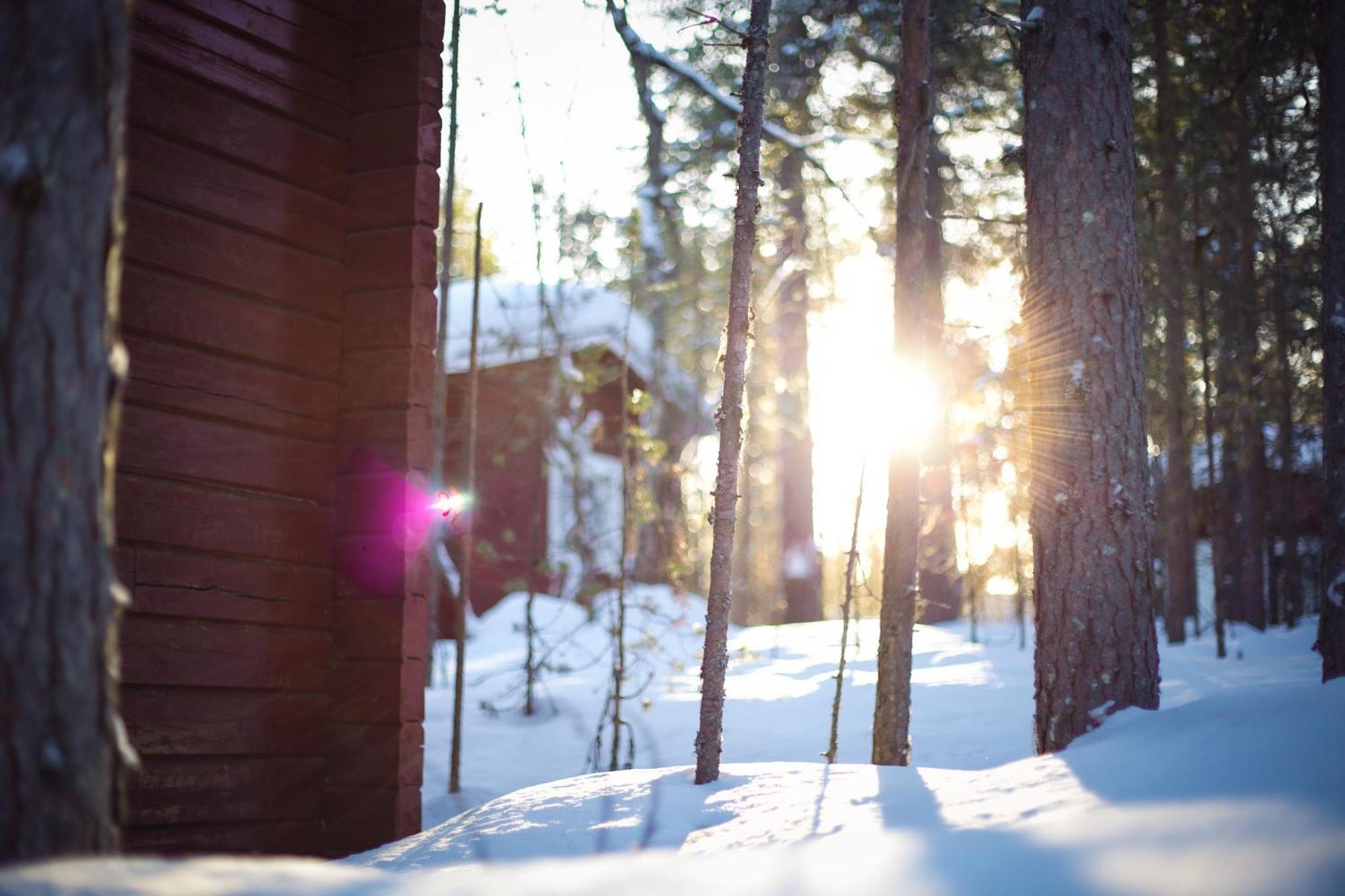 Crow Creek Cabins Inari Esterno foto