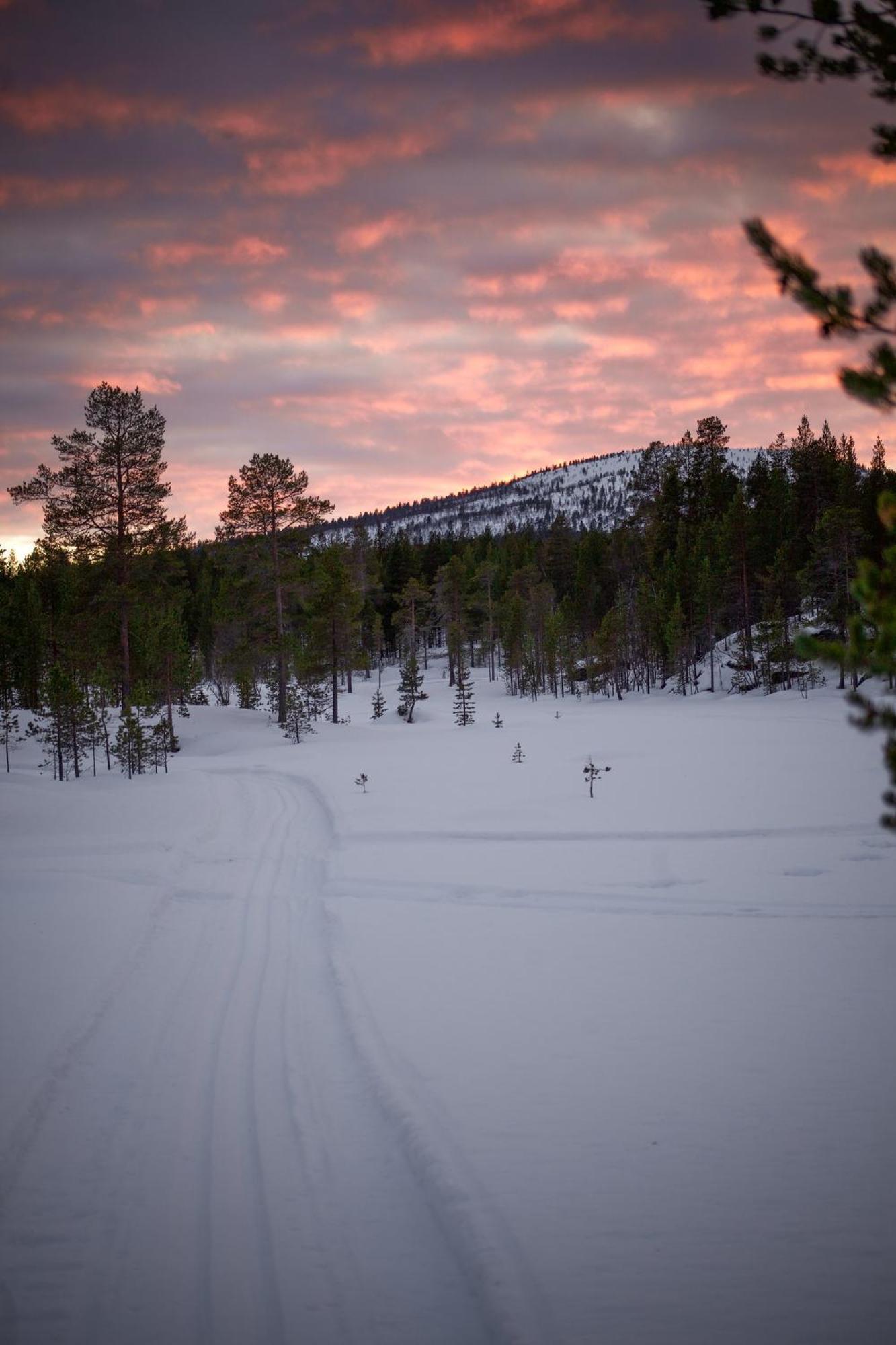 Crow Creek Cabins Inari Esterno foto