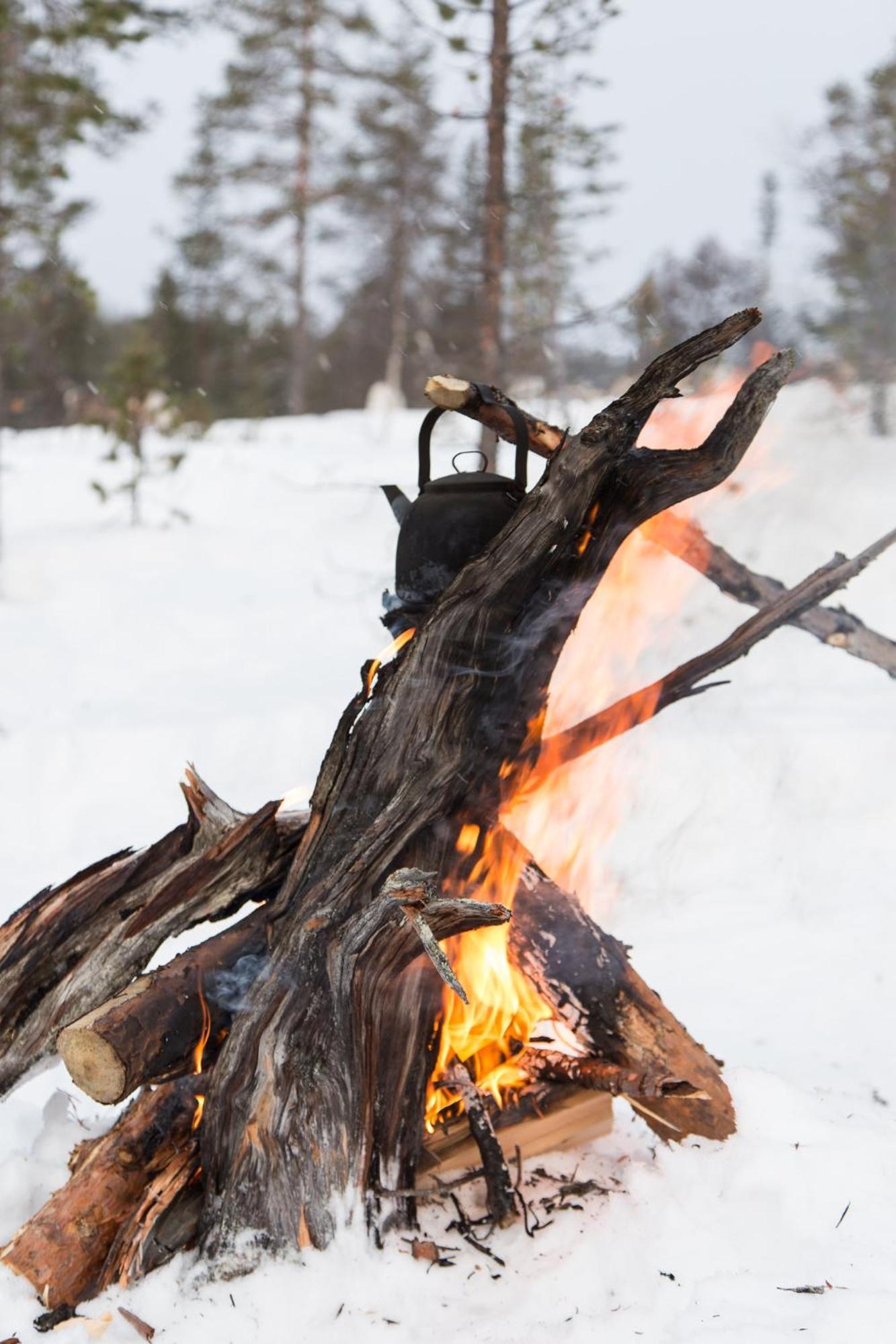 Crow Creek Cabins Inari Esterno foto